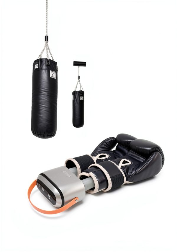 Boot Dryer Bigcase Ultra Portable Dual‑Air Ozone Model DSHJ‑S‑2101-7